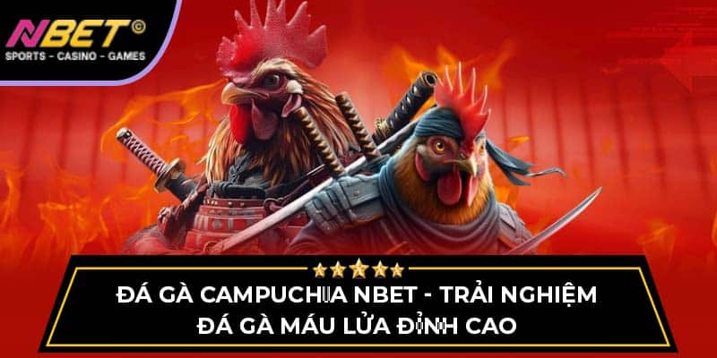 Đá Gà Campuchia - Trải Nghiệm Đá Gà Máu Lửa Đỉnh Cao