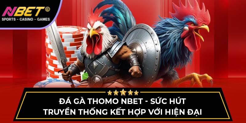 Đá Gà Thomo - Sức Hút Truyền Thống Kết Hợp Với Hiện Đại